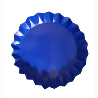 PLATOS DESCARTABLES EN AZUL