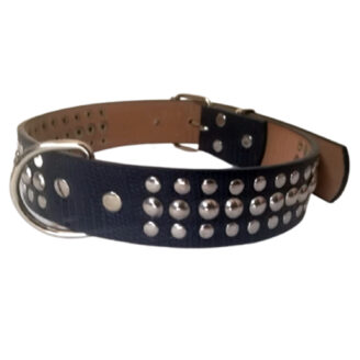 Collar De Mascota Hembra Y Macho