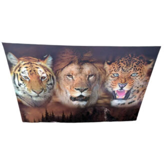 Afiche Poster 4 dimensiones Felinos Tigres León
