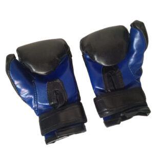 Guantes De Box Para Niños En Azul