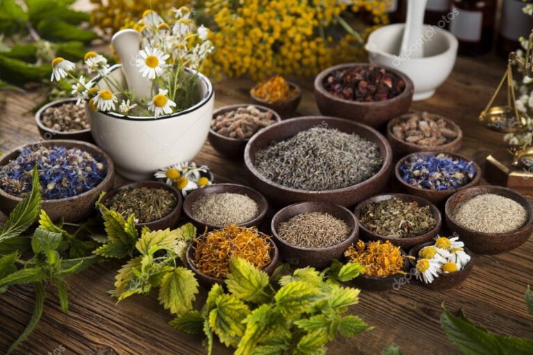 MEDICINAS NATURALES