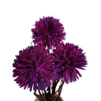 Arreglo floral Crisantemo Purpura con maceta - Imagen 3