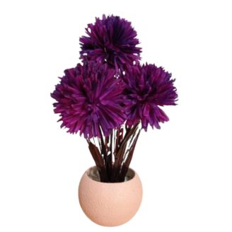 Arreglo floral Crisantemo Purpura con maceta