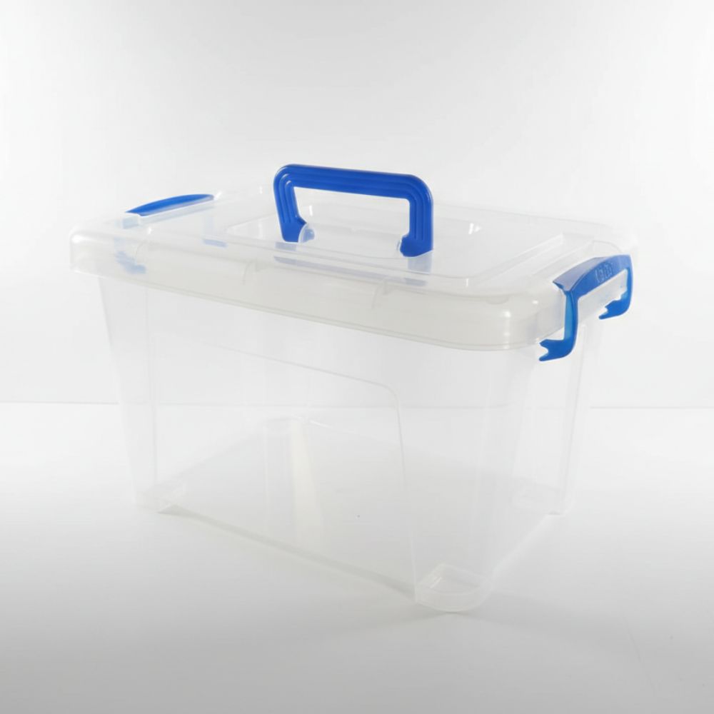 Fenomenal Cajita Organizadora Paty de Plástico Transparente con Tapa a Presión – Práctica y Resistente 4 caja de plastico paty