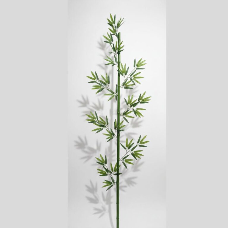 Plantas Decorativas