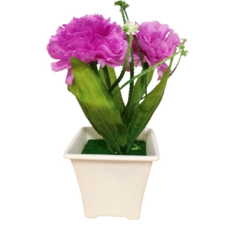 Plantas Decorativas