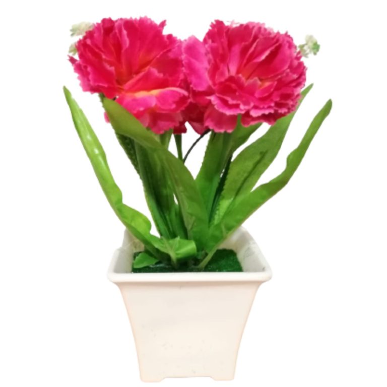 Plantas Decorativas